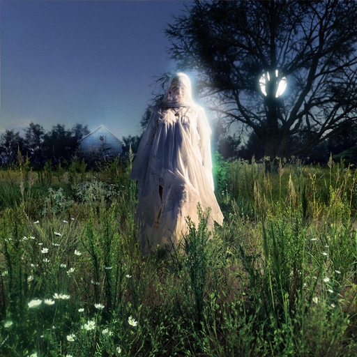 日本三级无码中文字幕
